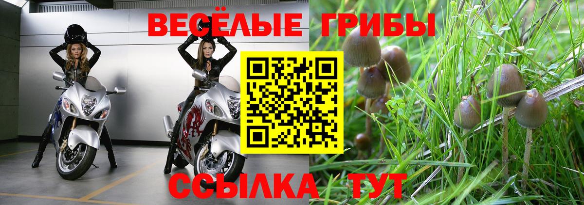 Галлюциногенные грибы мицелий  Галлюциногенные грибы GOLDEN TEACHER  Белореченск  Вход с VPN 