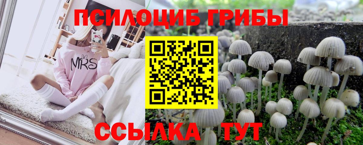 Псилоцибиновые грибы прущие грибы Белореченск